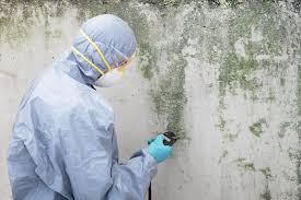 Best Real Estate Mold Inspection  in Fort Valley, AZ